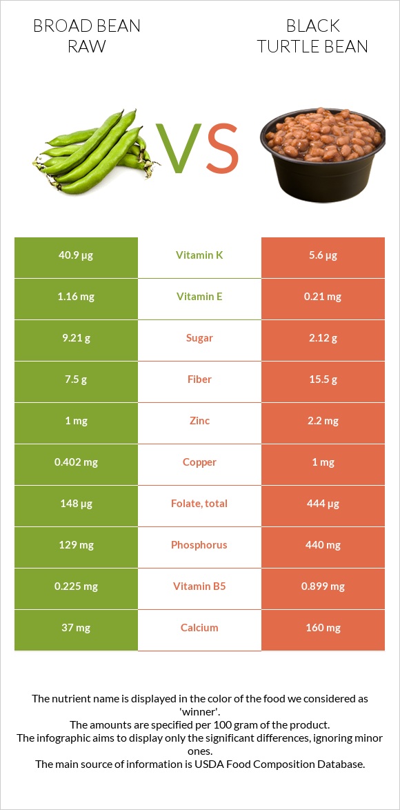 Broad bean raw vs Black turtle bean infographic