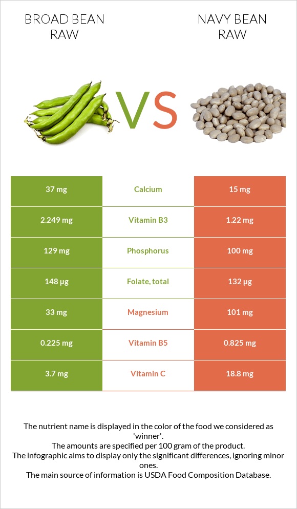 Broad bean raw vs Navy bean raw infographic