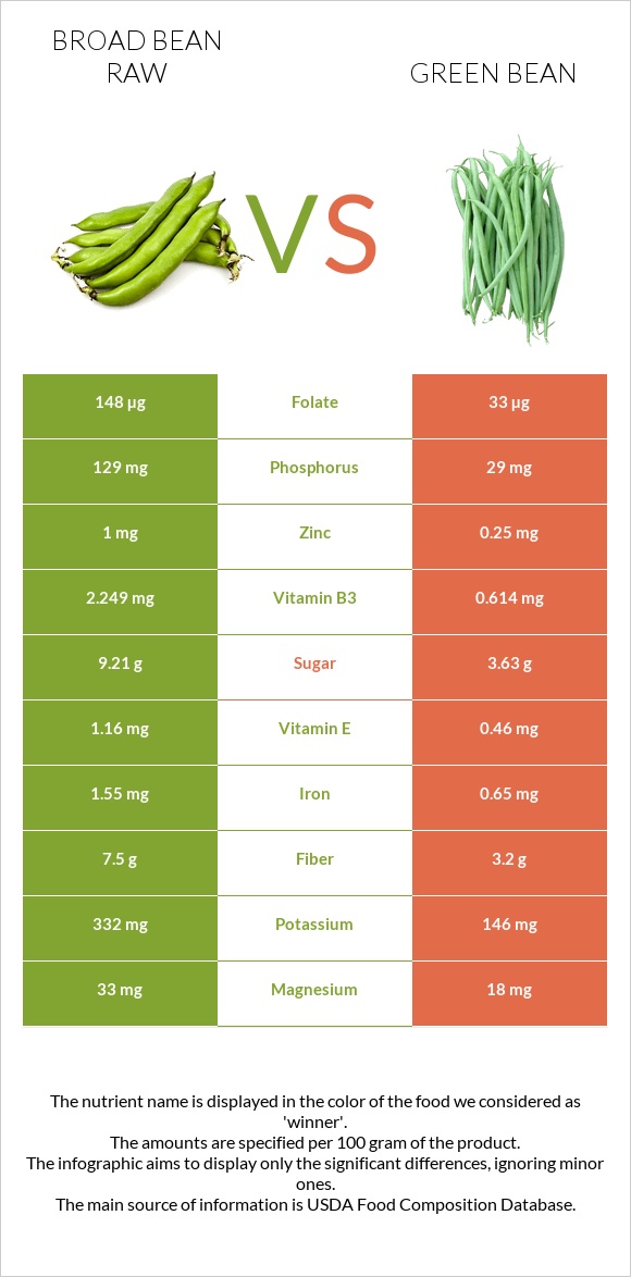 Broad bean raw vs Green bean infographic