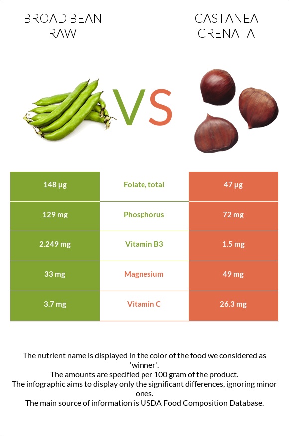 Broad bean raw vs Castanea crenata infographic