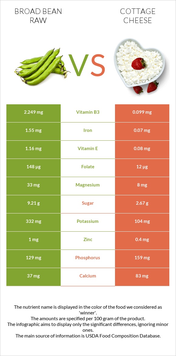 Broad bean raw vs Cottage cheese infographic