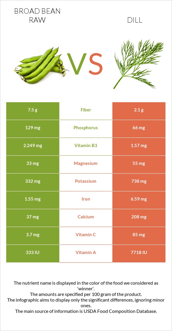 Broad bean raw vs Dill infographic