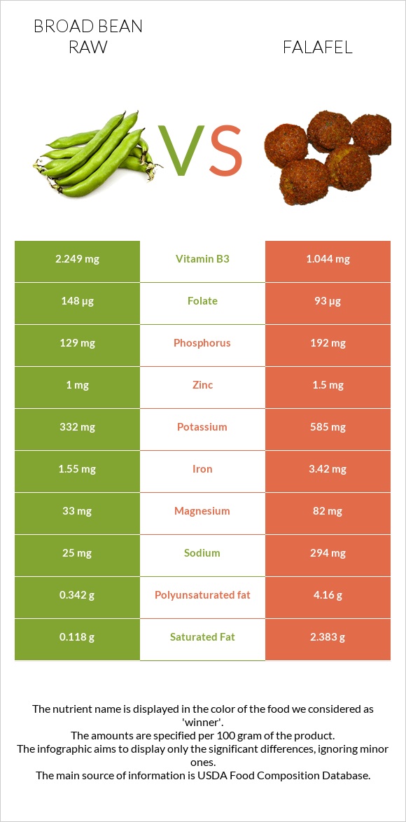 Broad bean raw vs Falafel infographic