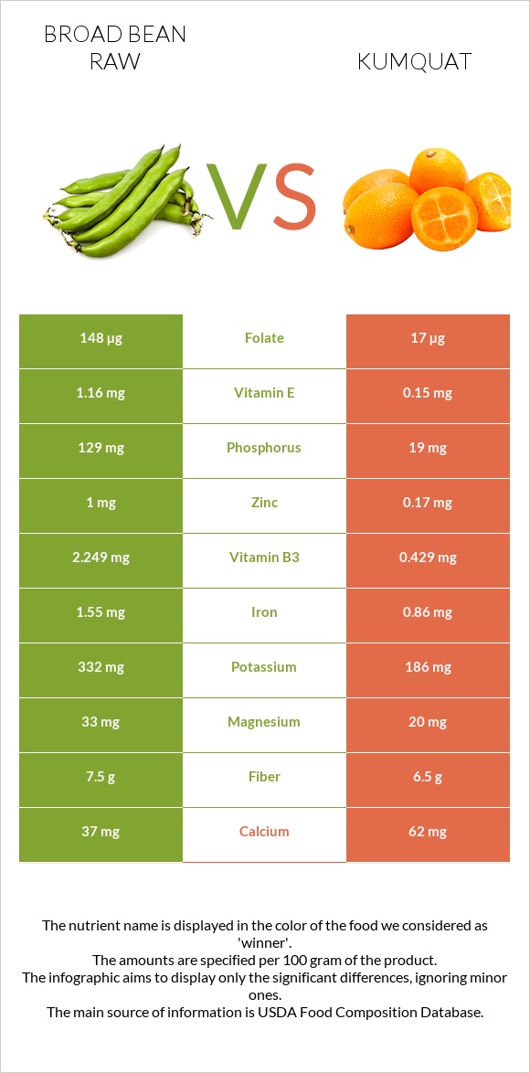 Broad bean raw vs Kumquat infographic