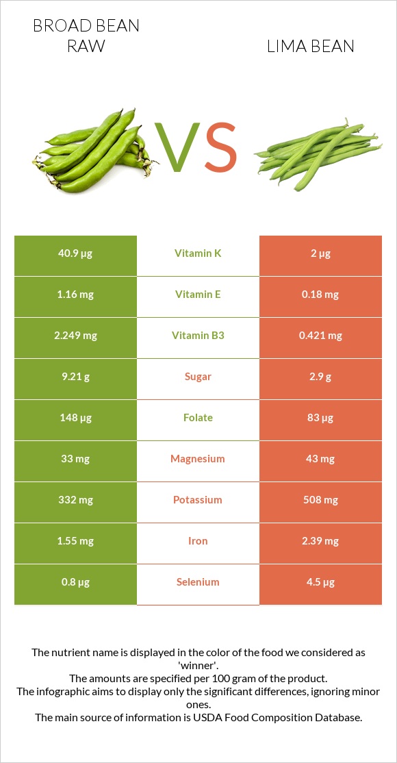 Broad bean raw vs Lima bean infographic
