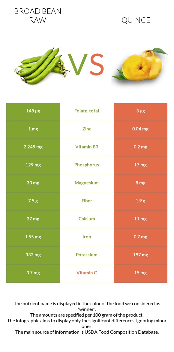 Broad bean raw vs Quince infographic