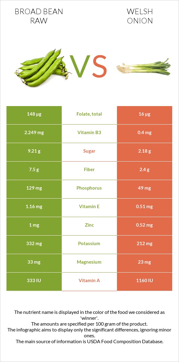 Broad bean raw vs Welsh onion infographic