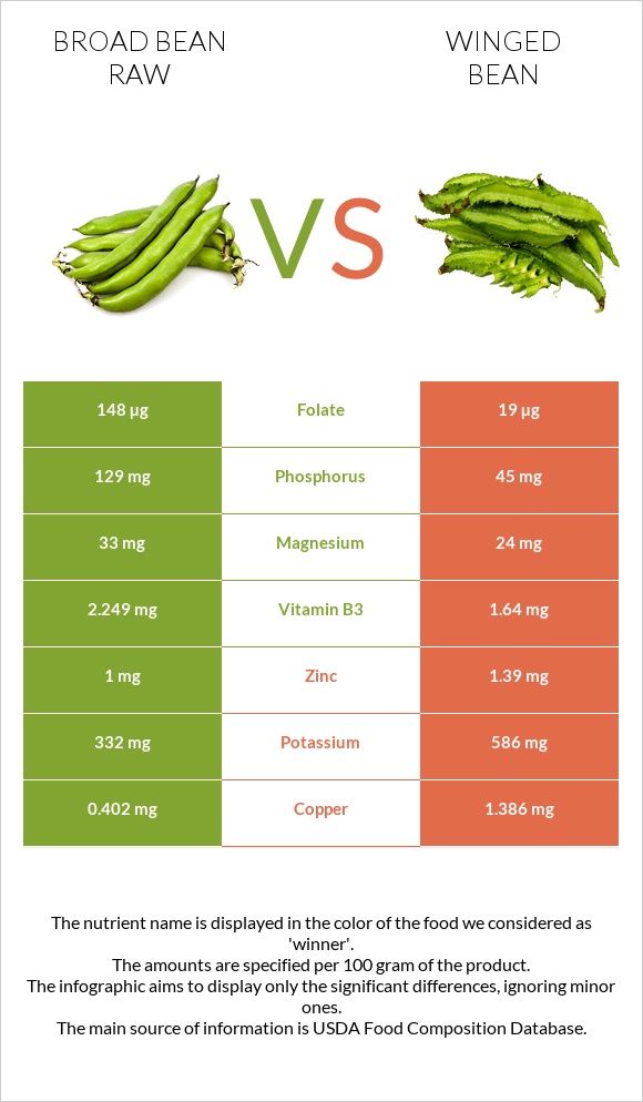 Broad bean raw vs Winged bean infographic