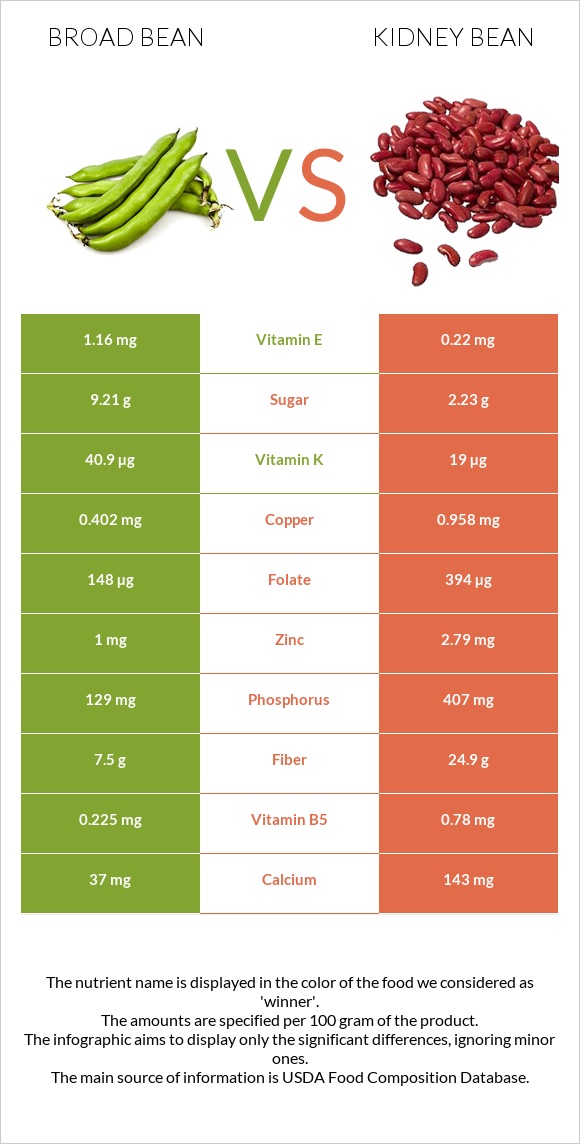 Broad bean vs Kidney beans raw infographic