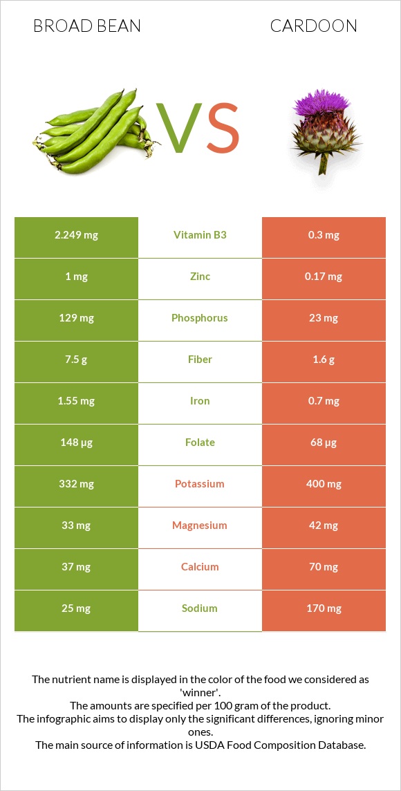 Broad bean vs Cardoon infographic