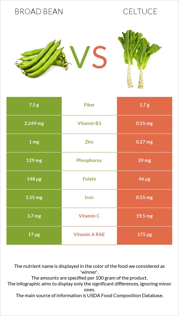 Broad bean vs Celtuce infographic