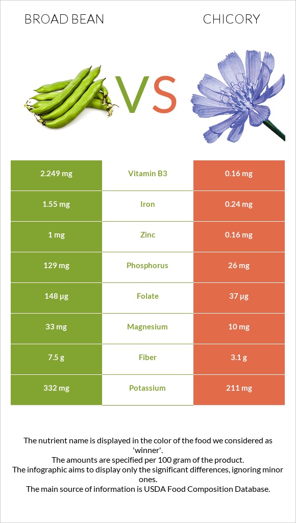 Broad bean vs Chicory infographic