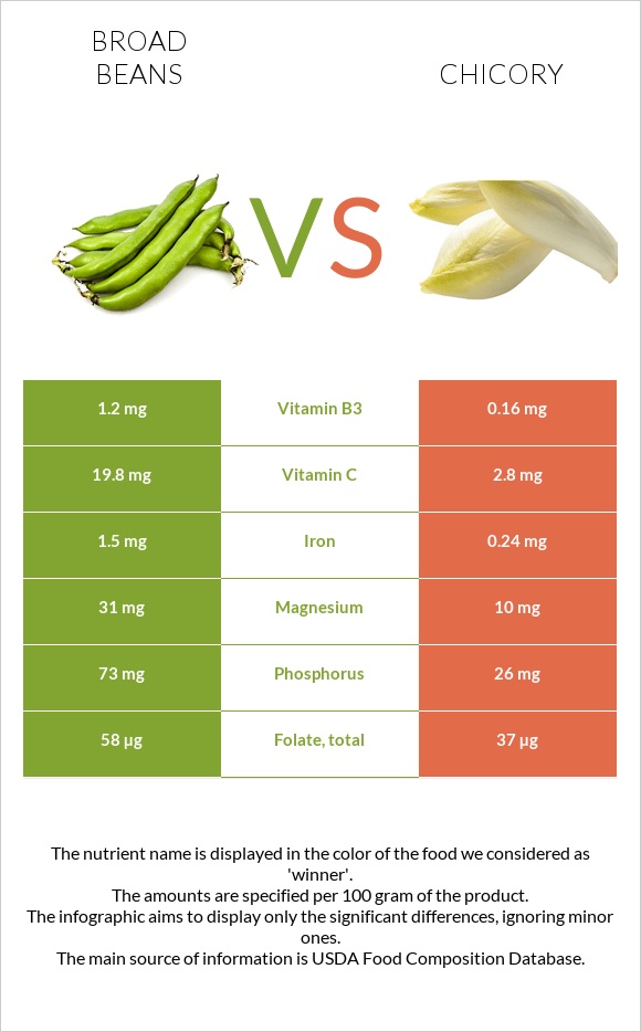 Broad beans vs Chicory infographic