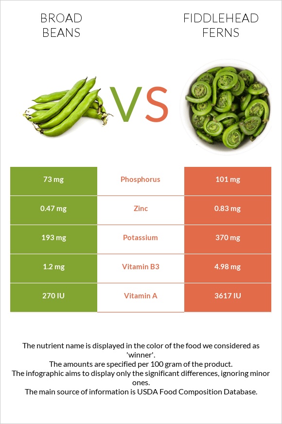 Broad beans vs Fiddlehead ferns infographic