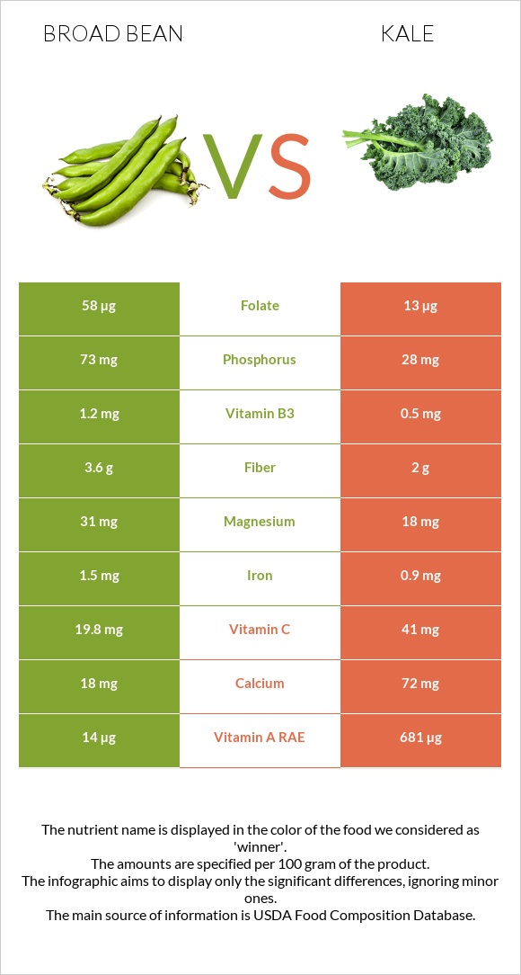 Broad bean vs Kale infographic