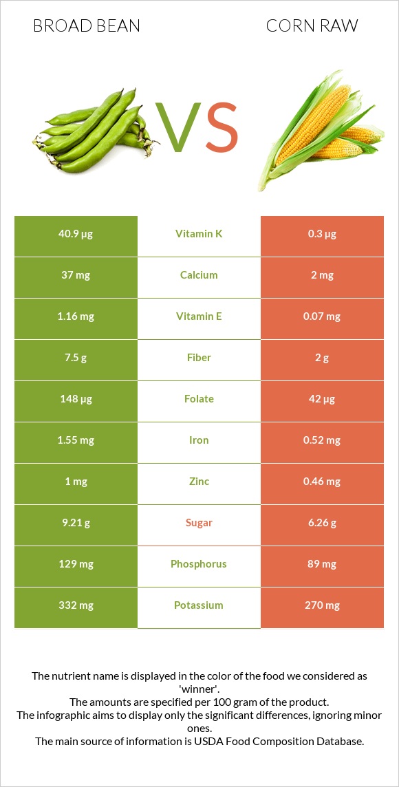 Broad bean vs Corn raw infographic