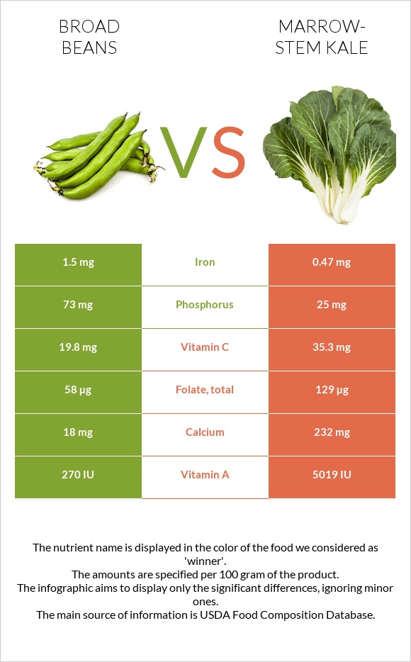 Broad beans vs Marrow-stem Kale infographic