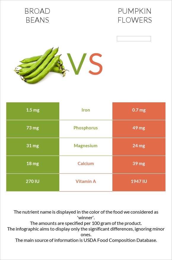 Broad bean vs Pumpkin flowers infographic