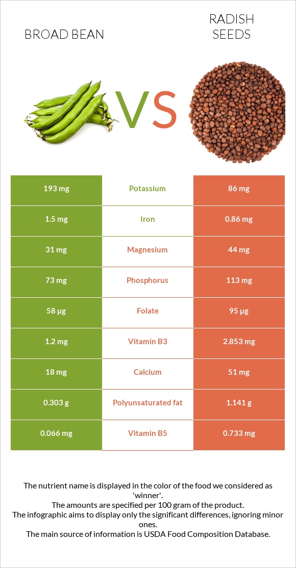Broad bean vs Radish seeds infographic