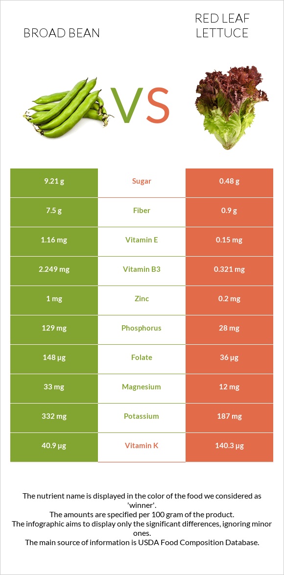 Broad bean vs Red leaf lettuce infographic