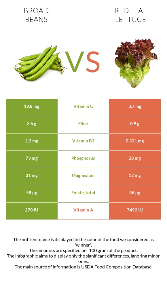 Broad beans vs Red leaf lettuce infographic