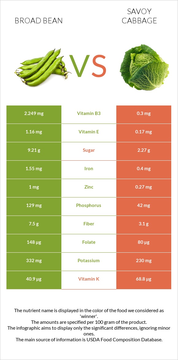 Broad bean vs Savoy cabbage infographic