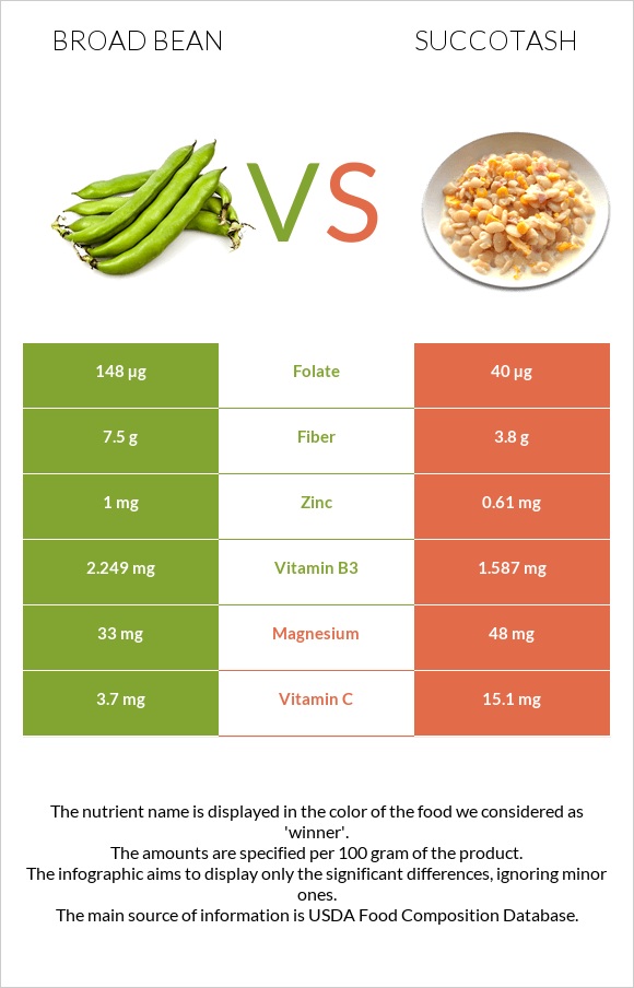 Broad bean vs Succotash infographic