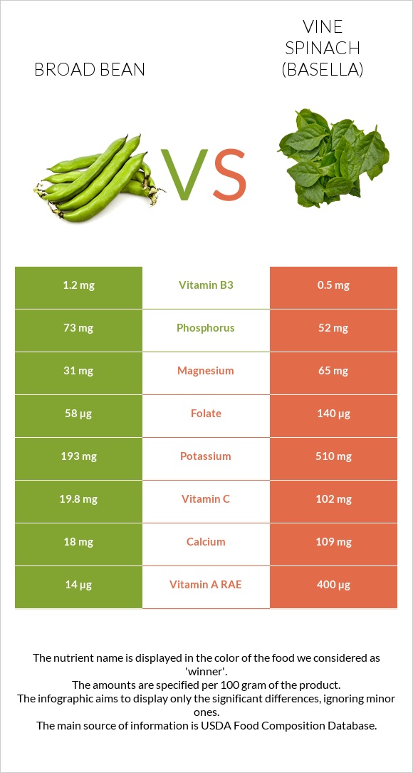 Broad bean vs Vine spinach (basella) infographic