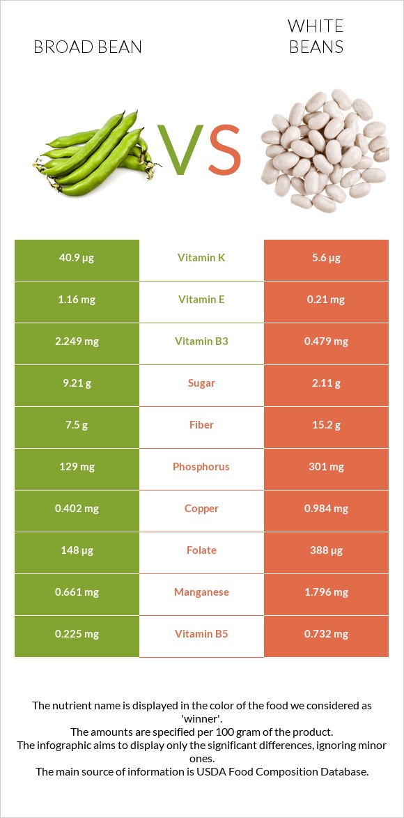 Broad beans vs White beans infographic