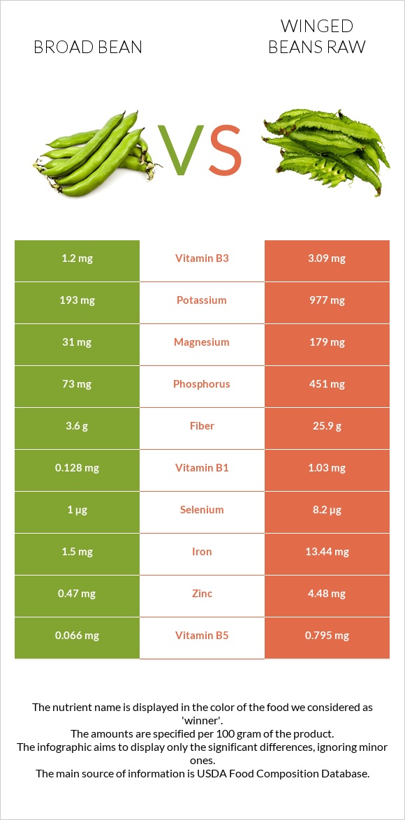 Broad bean vs Winged beans raw infographic