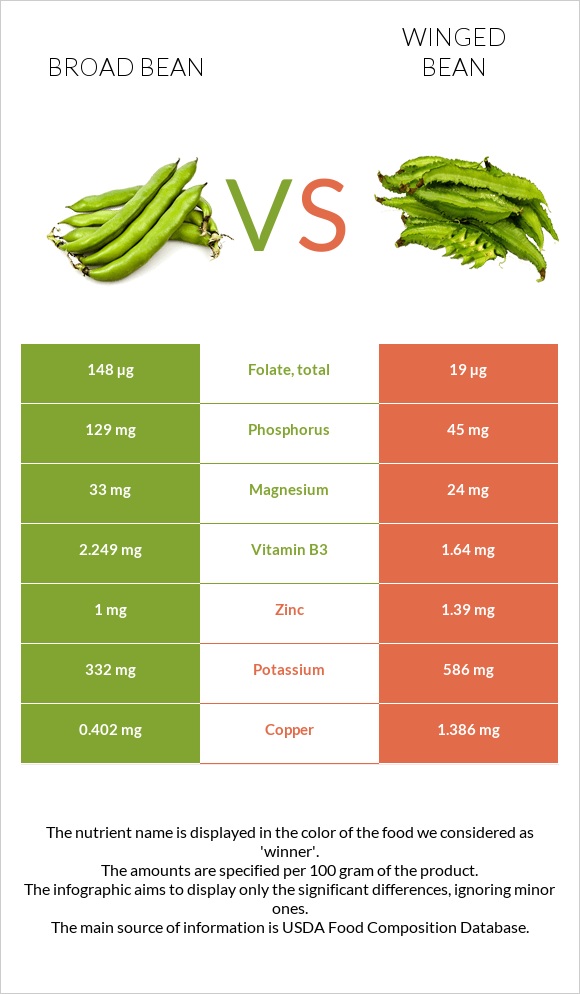 Broad bean vs Winged bean infographic
