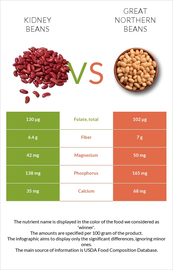 Kidney beans vs Great northern beans infographic