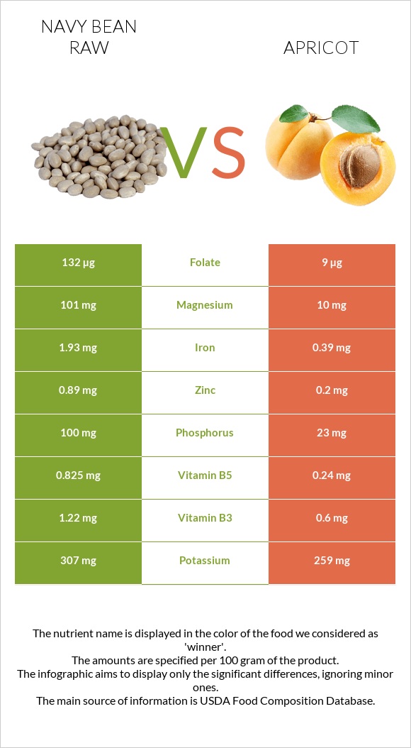 Navy bean raw vs Apricot infographic