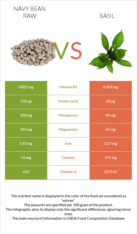 Navy bean raw vs Basil infographic