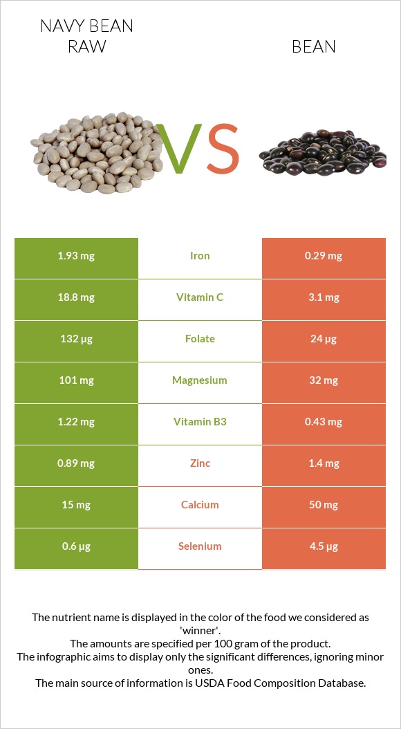 Navy bean raw vs Bean infographic