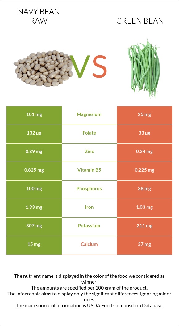 Navy bean raw vs Green bean infographic