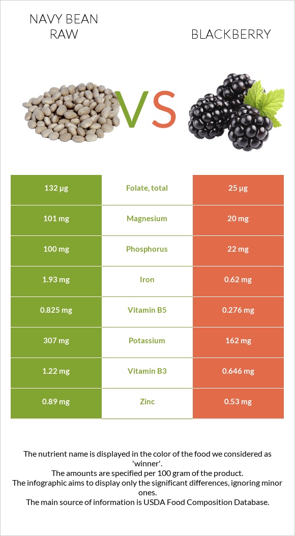 Navy bean raw vs Blackberry infographic