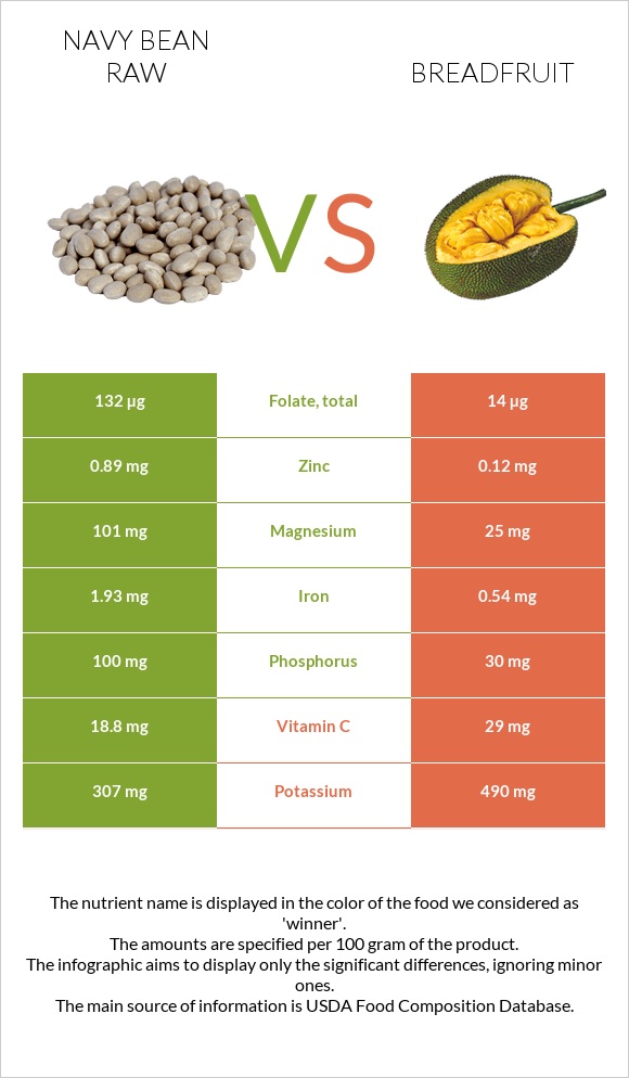 Navy bean raw vs Breadfruit infographic