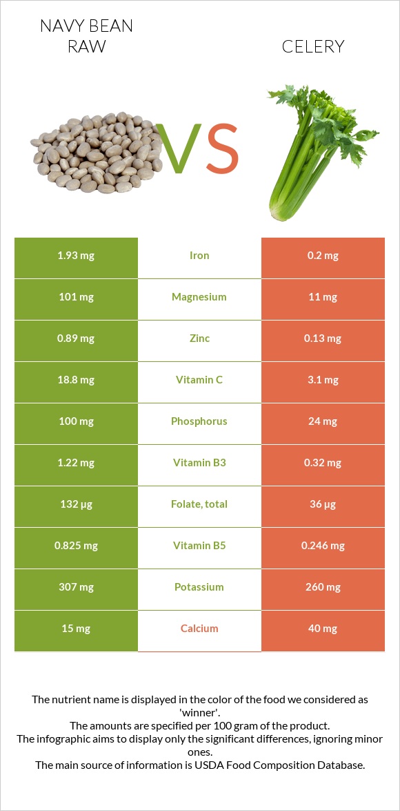 Navy bean raw vs Celery infographic