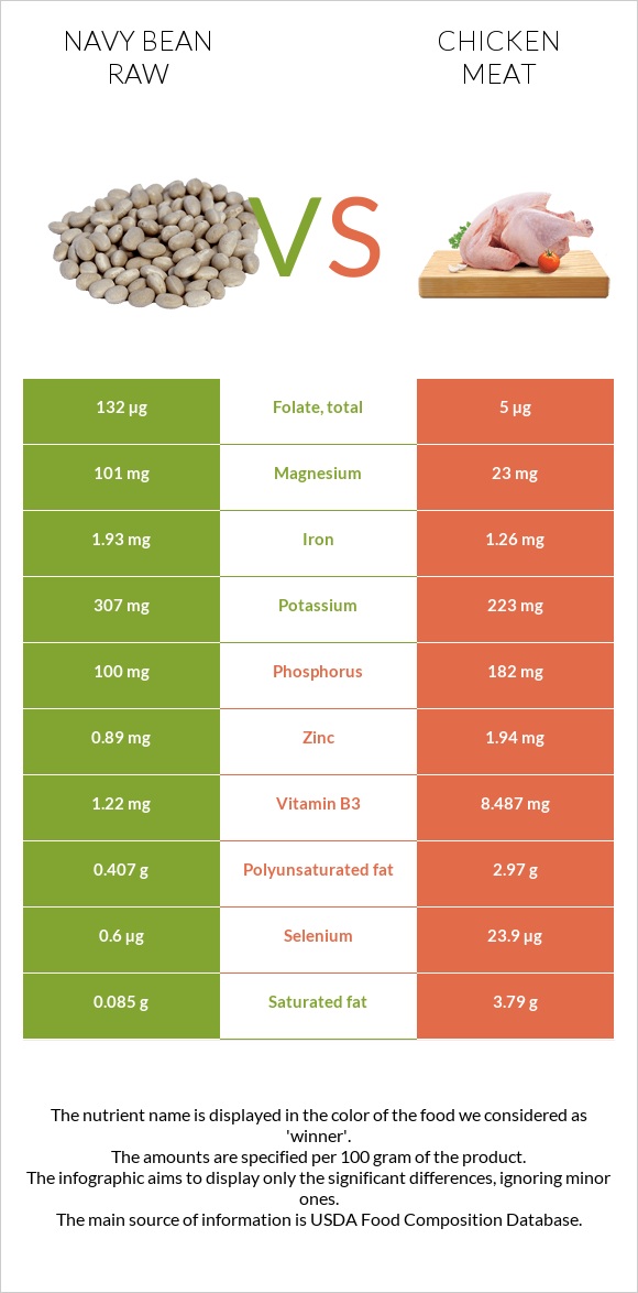 Navy bean raw vs Chicken meat infographic