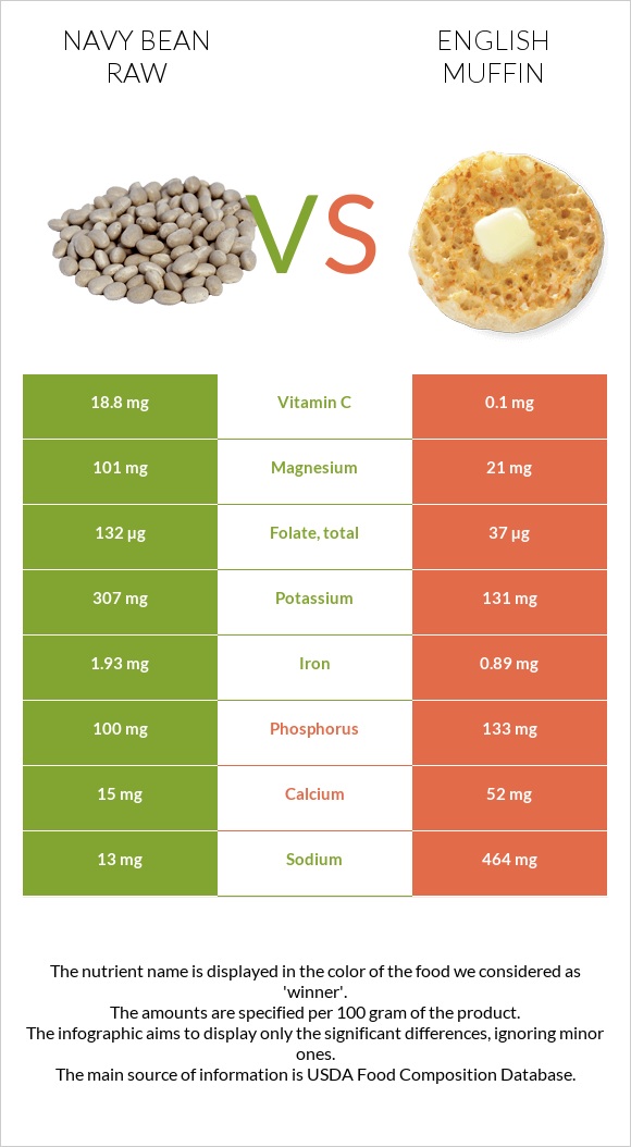 Navy bean raw vs English muffin infographic