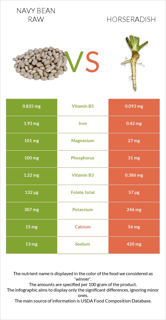 Navy bean raw vs Horseradish infographic