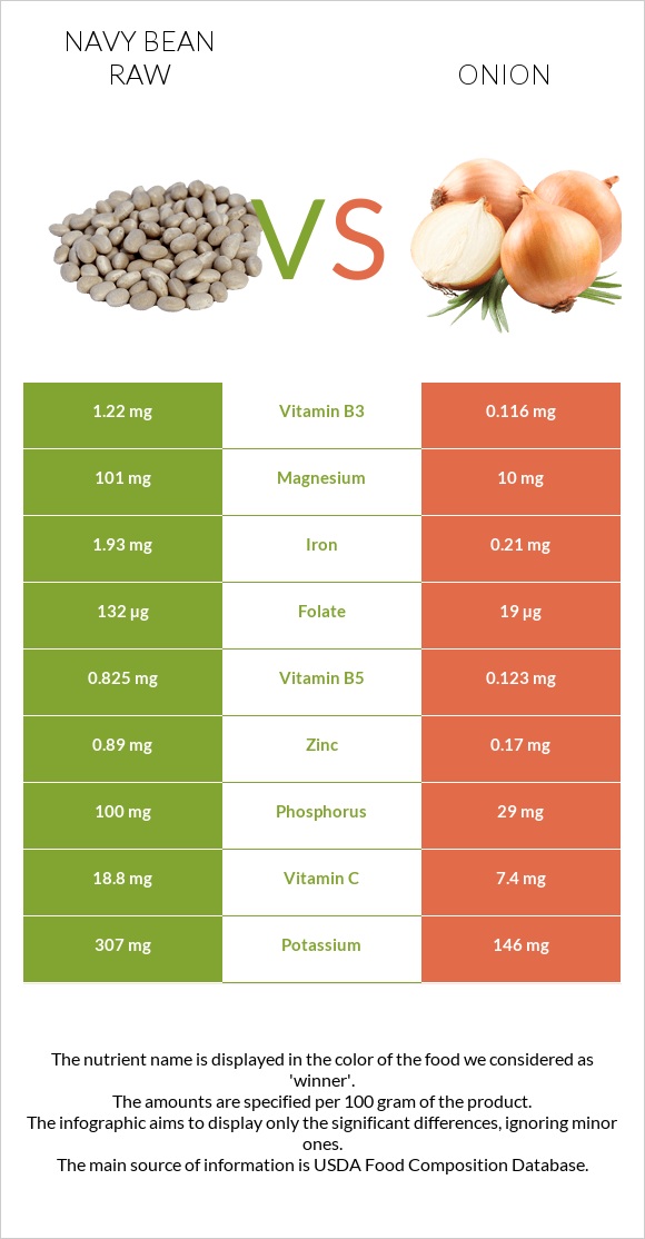 Navy bean raw vs Onion infographic