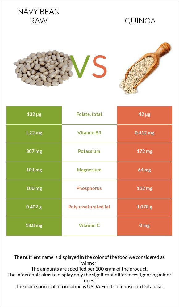 Navy bean raw vs Quinoa infographic