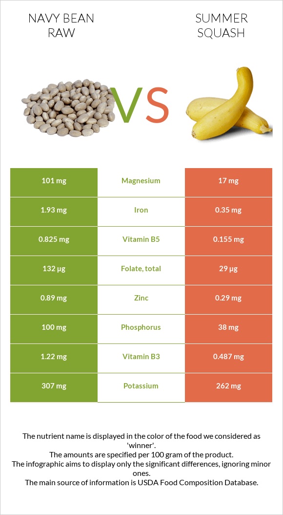 Navy bean raw vs Summer squash infographic