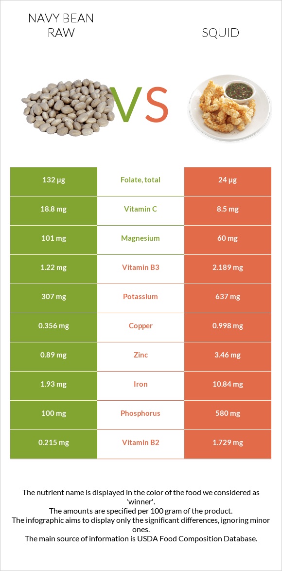 Navy bean raw vs Squid infographic