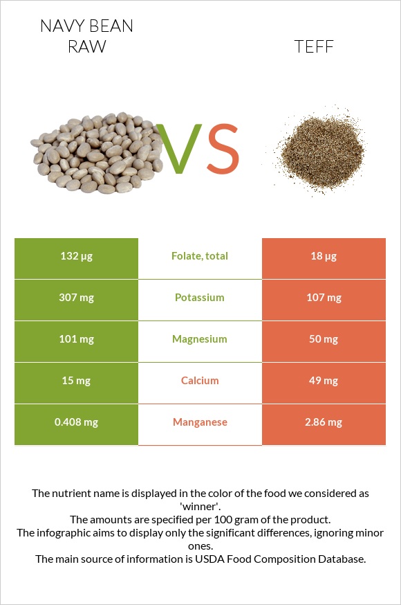 Navy bean raw vs Teff infographic