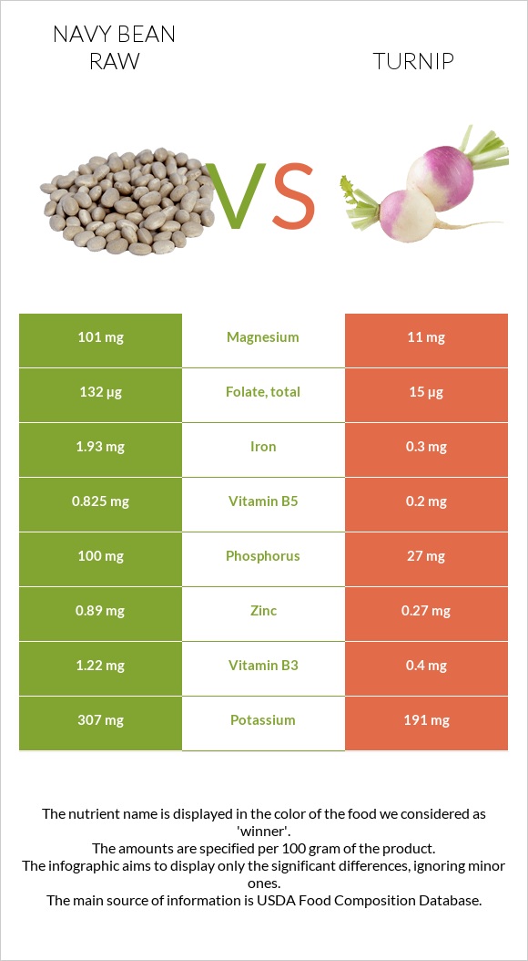 Navy bean raw vs Turnip infographic