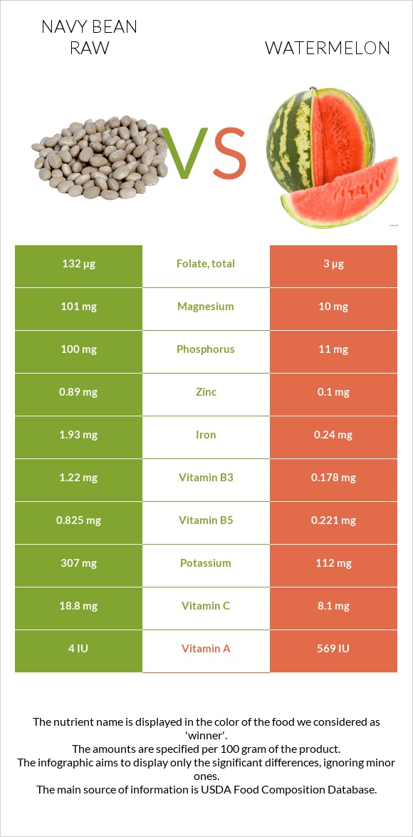 Navy bean raw vs Watermelon infographic