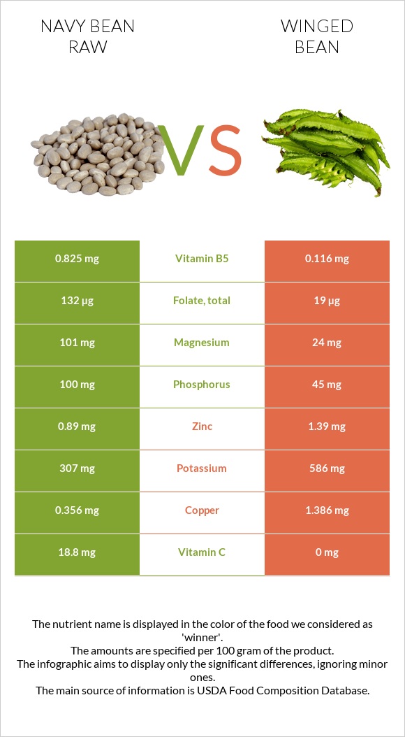 Navy bean raw vs Winged bean infographic